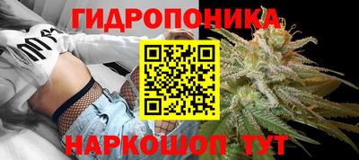 a pvp Брянск